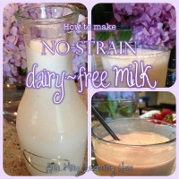 205.  How to Make No Strain Dairy Free Milk