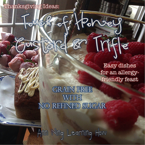 Easy Custard and Trifle | Allergy-Friendly Thanksgiving | GF, No Refined Sugar | Ann Ning Learning How